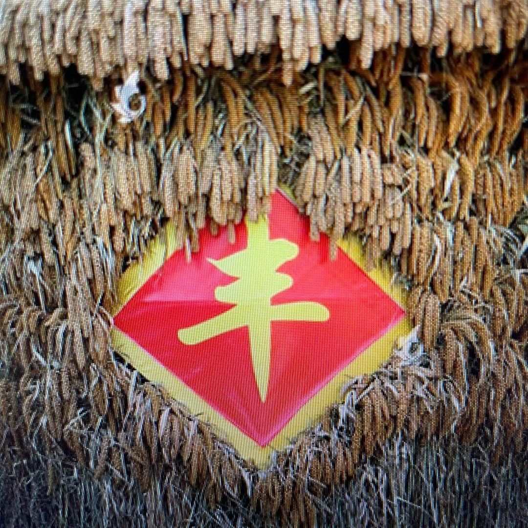 老鼠爱大米13