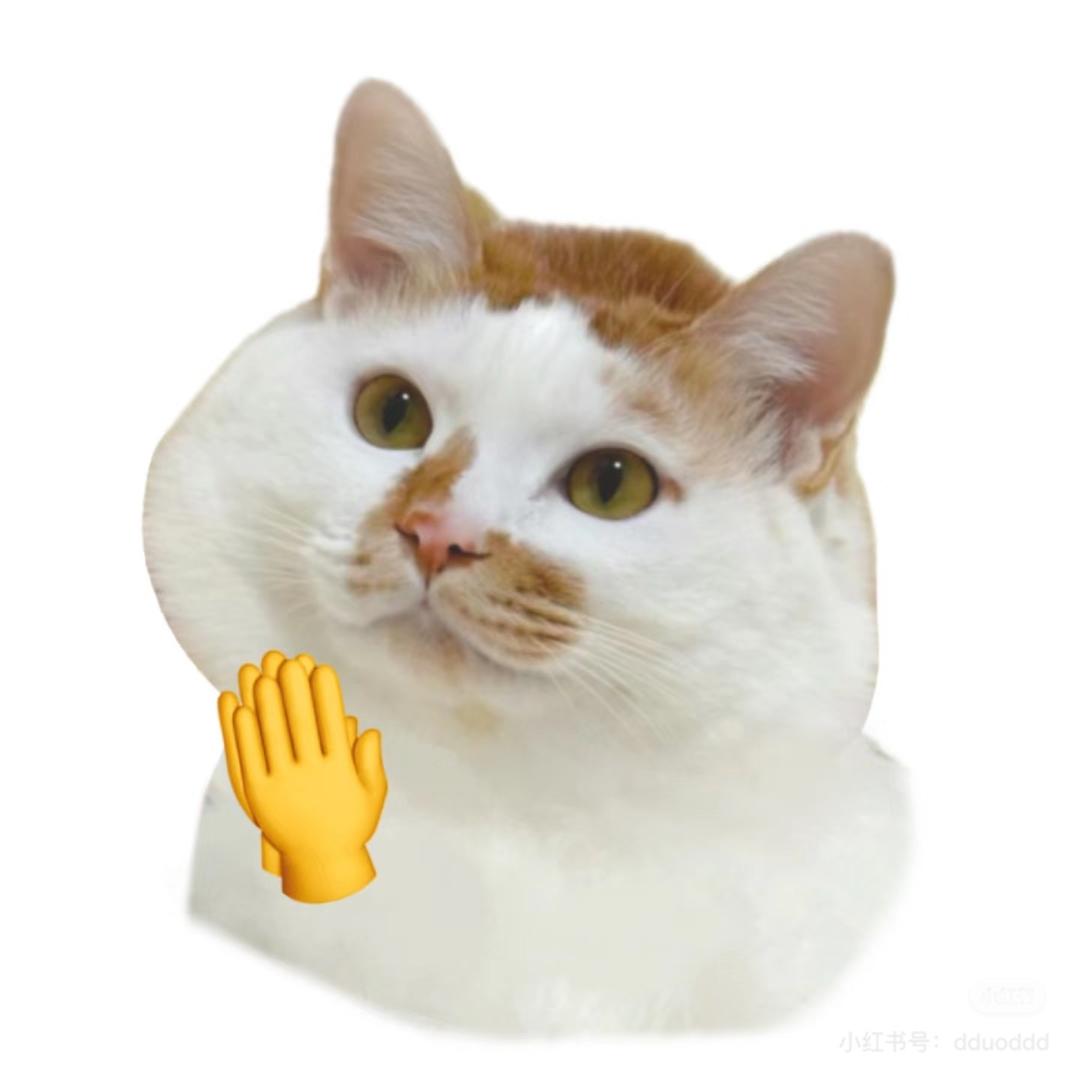 啊鹏的副业