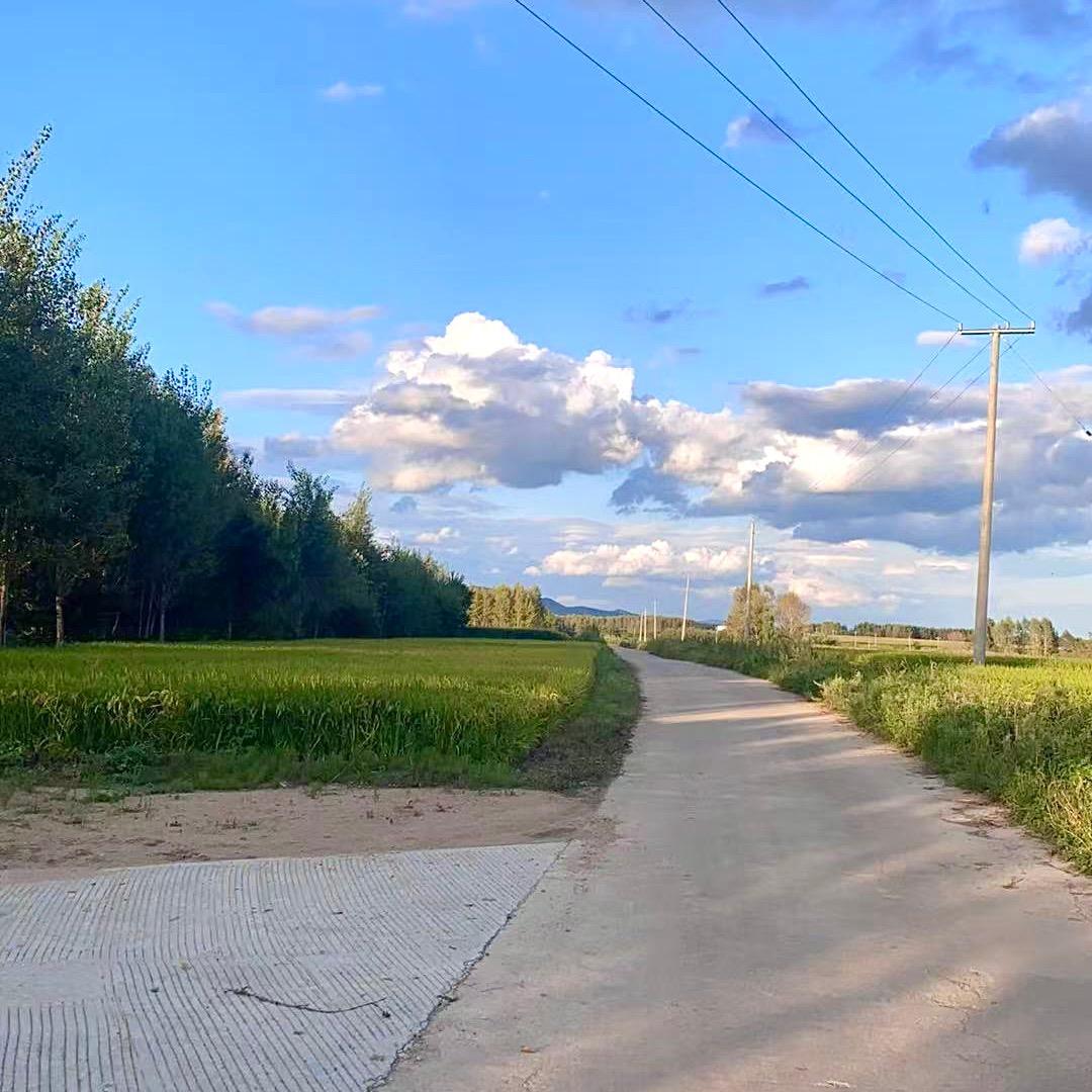 《稻田CEO创业日记》