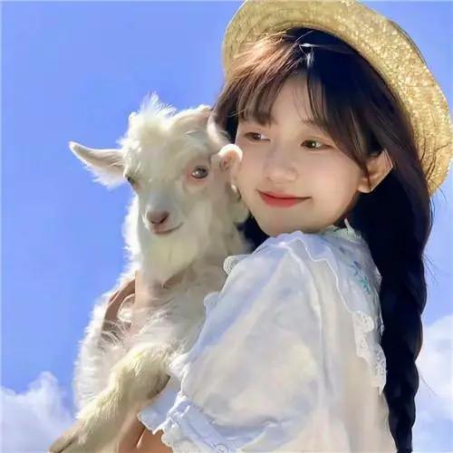 美羊羊好物分享