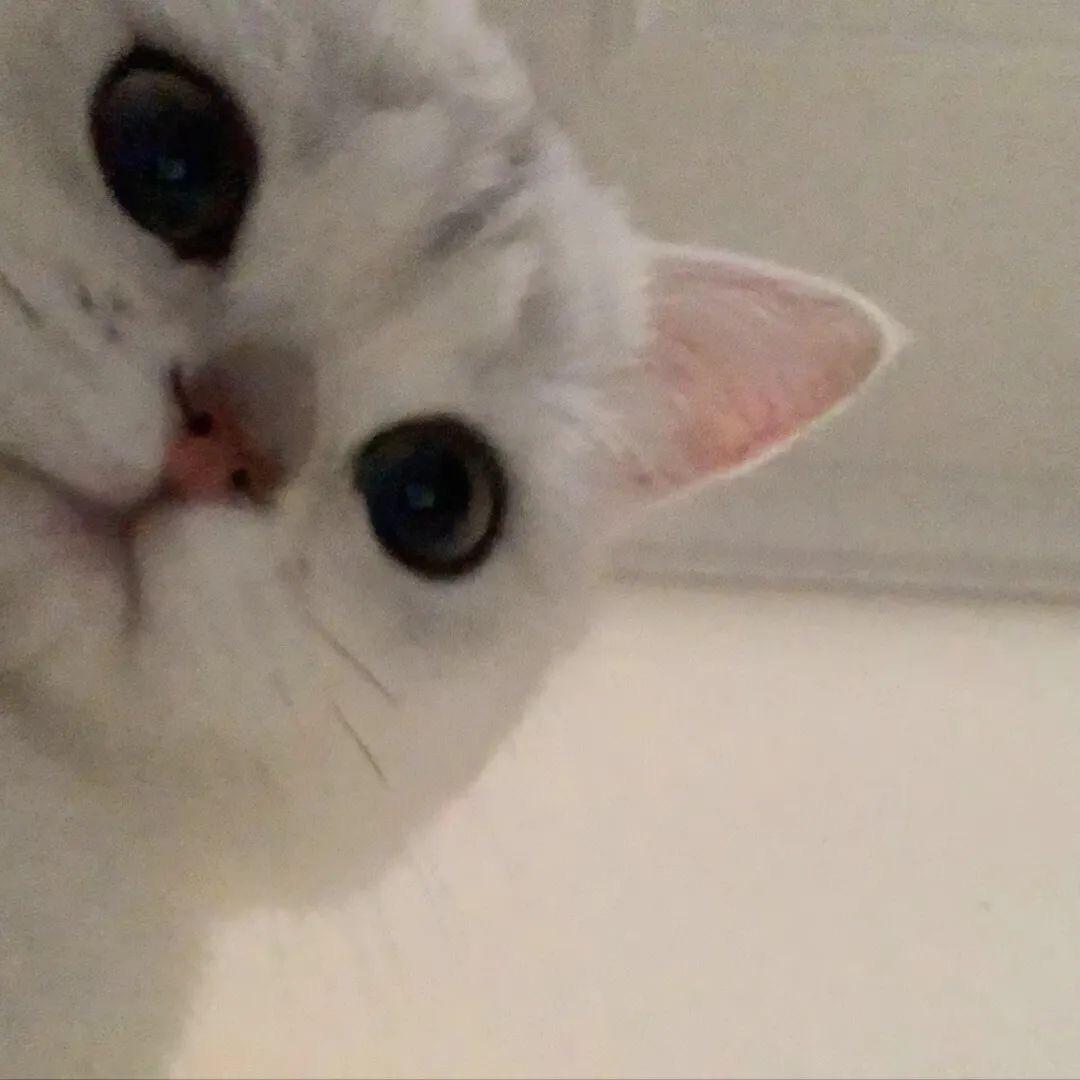 那男的