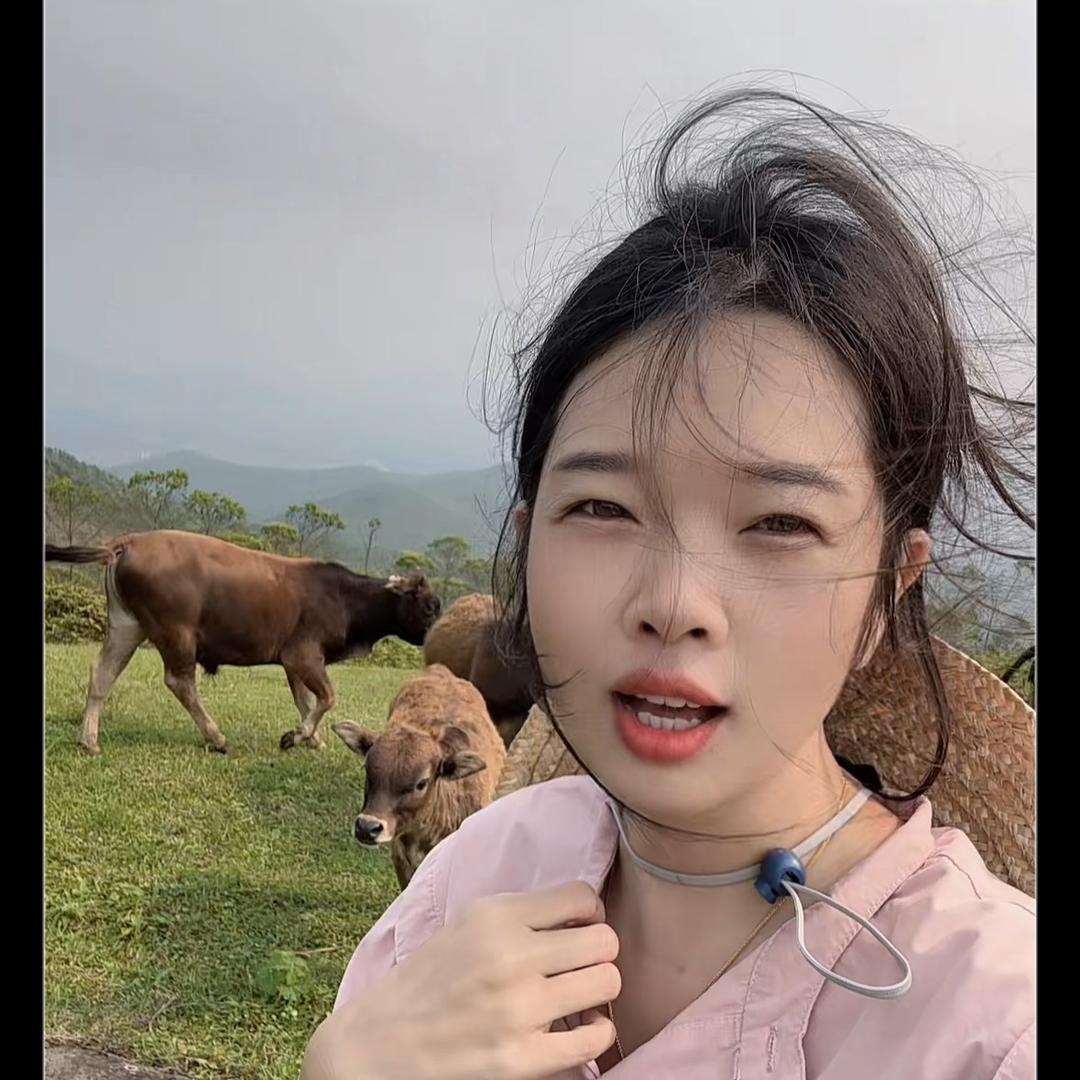 暖心柠檬