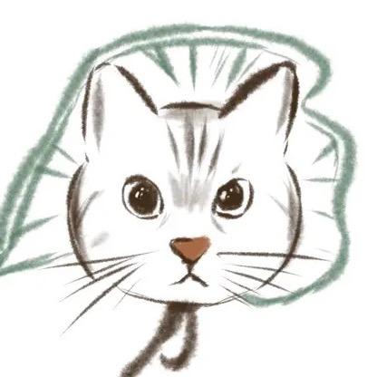 木土