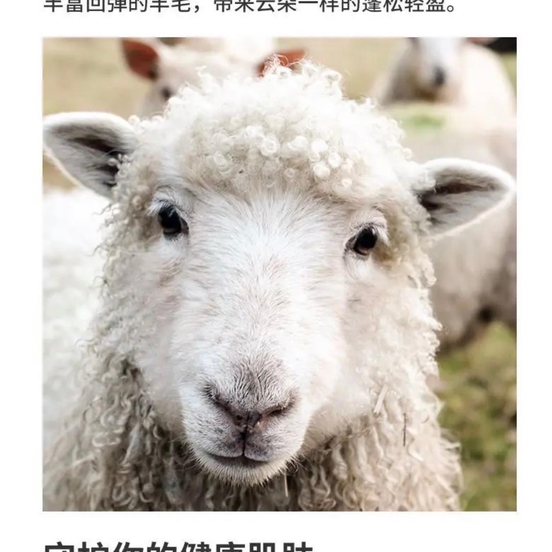 大睿睿百货商贸