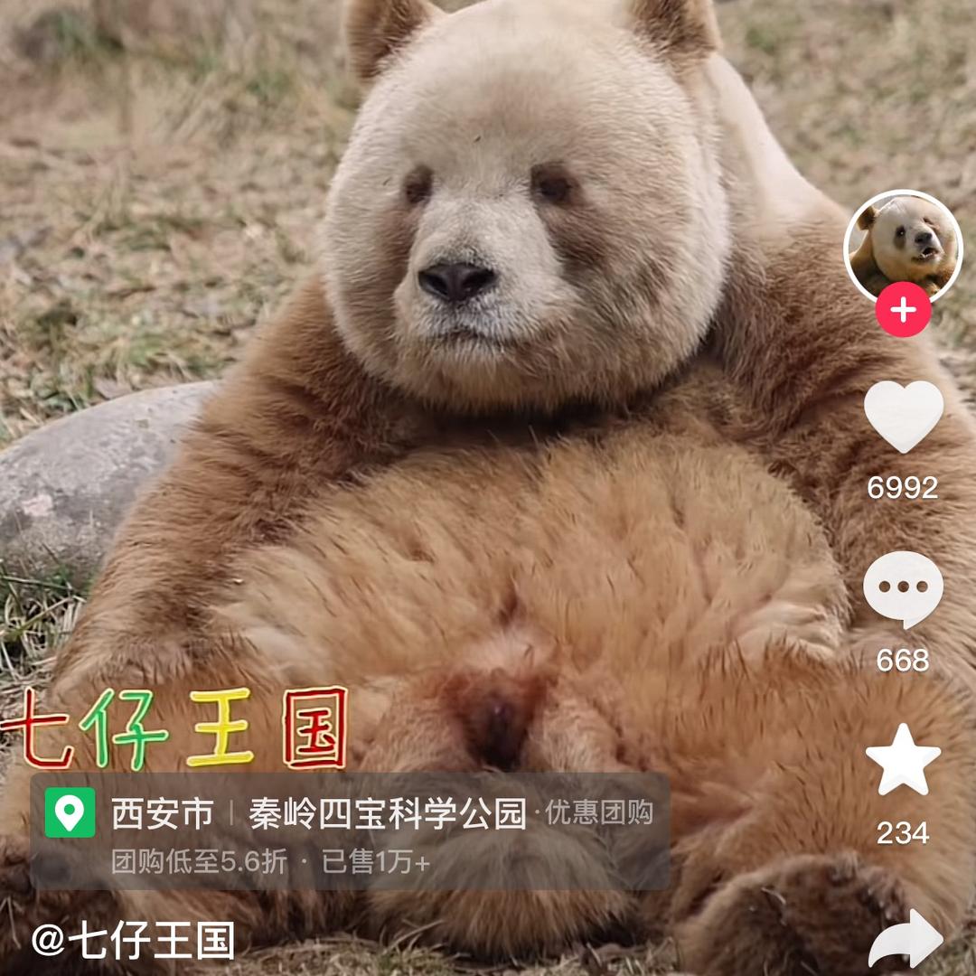 a沉默