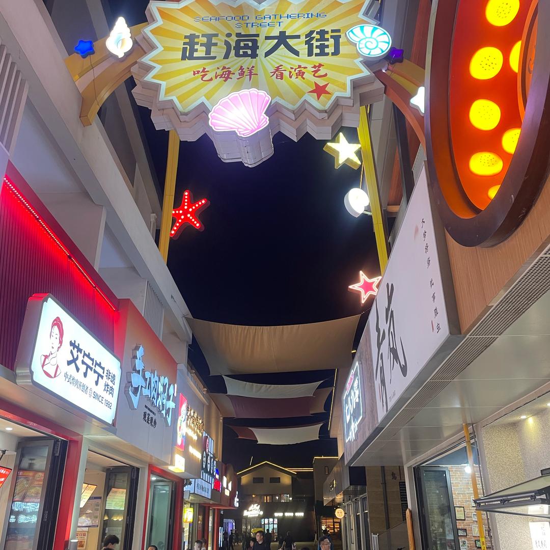 浪子吴迪