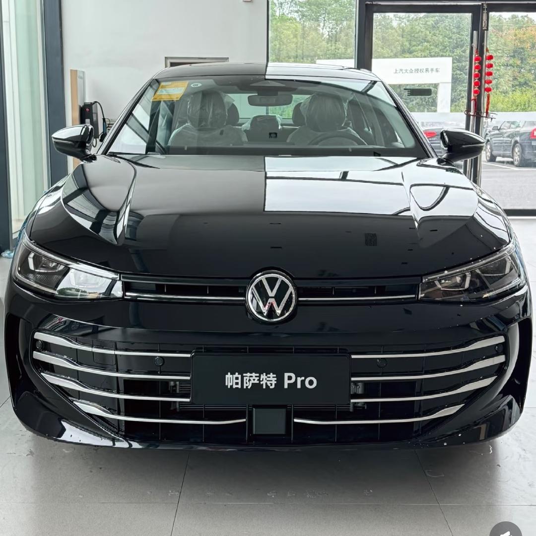 琪琪的帕萨特pro