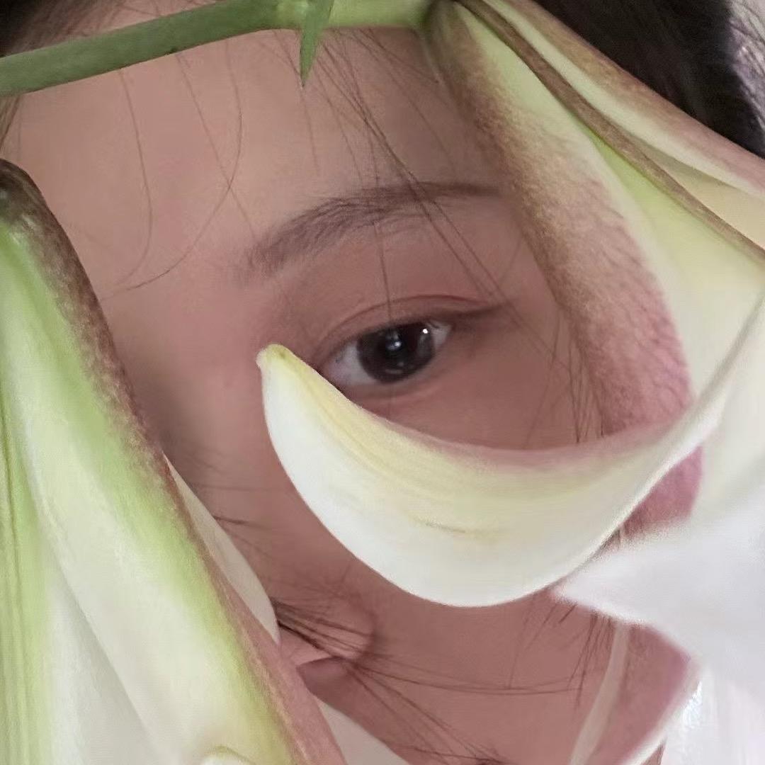 蓝莓鱼