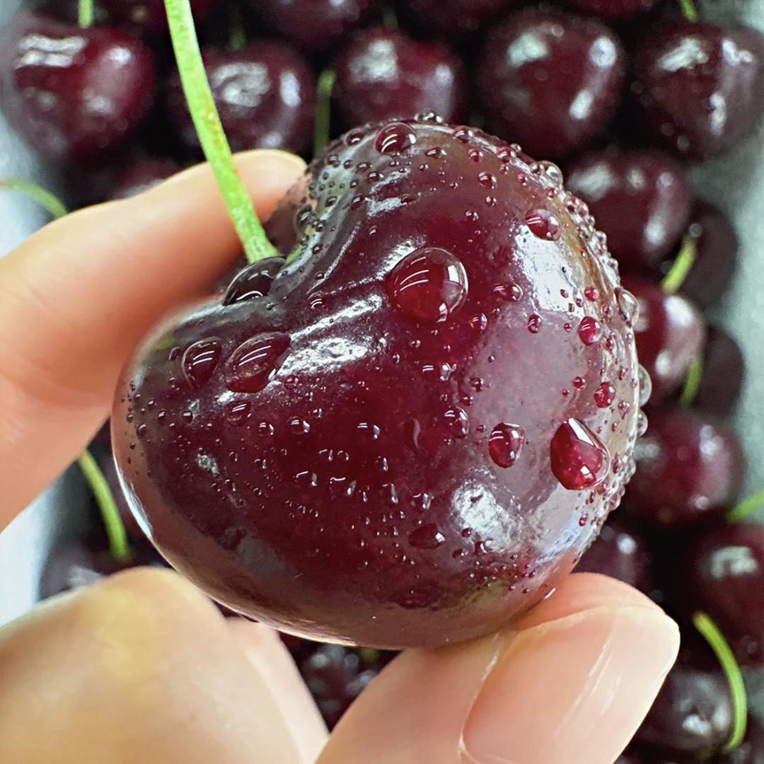 迪乐姆水果甄选高端水果