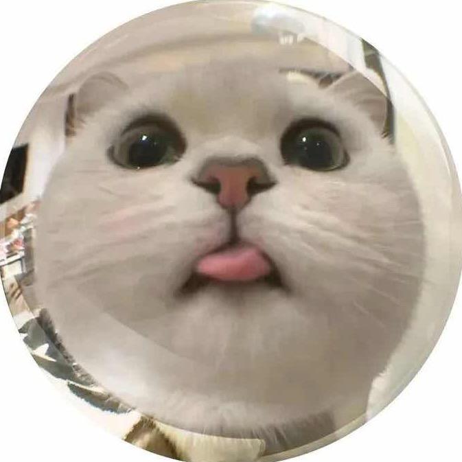 泡泡🧚‍♀️