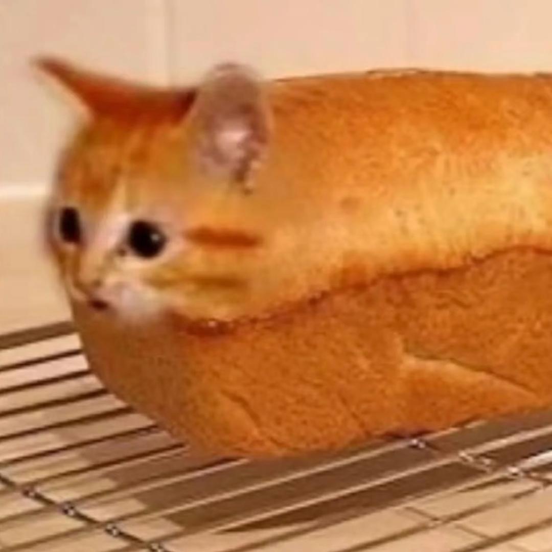 AAA大运重卡吴师傅