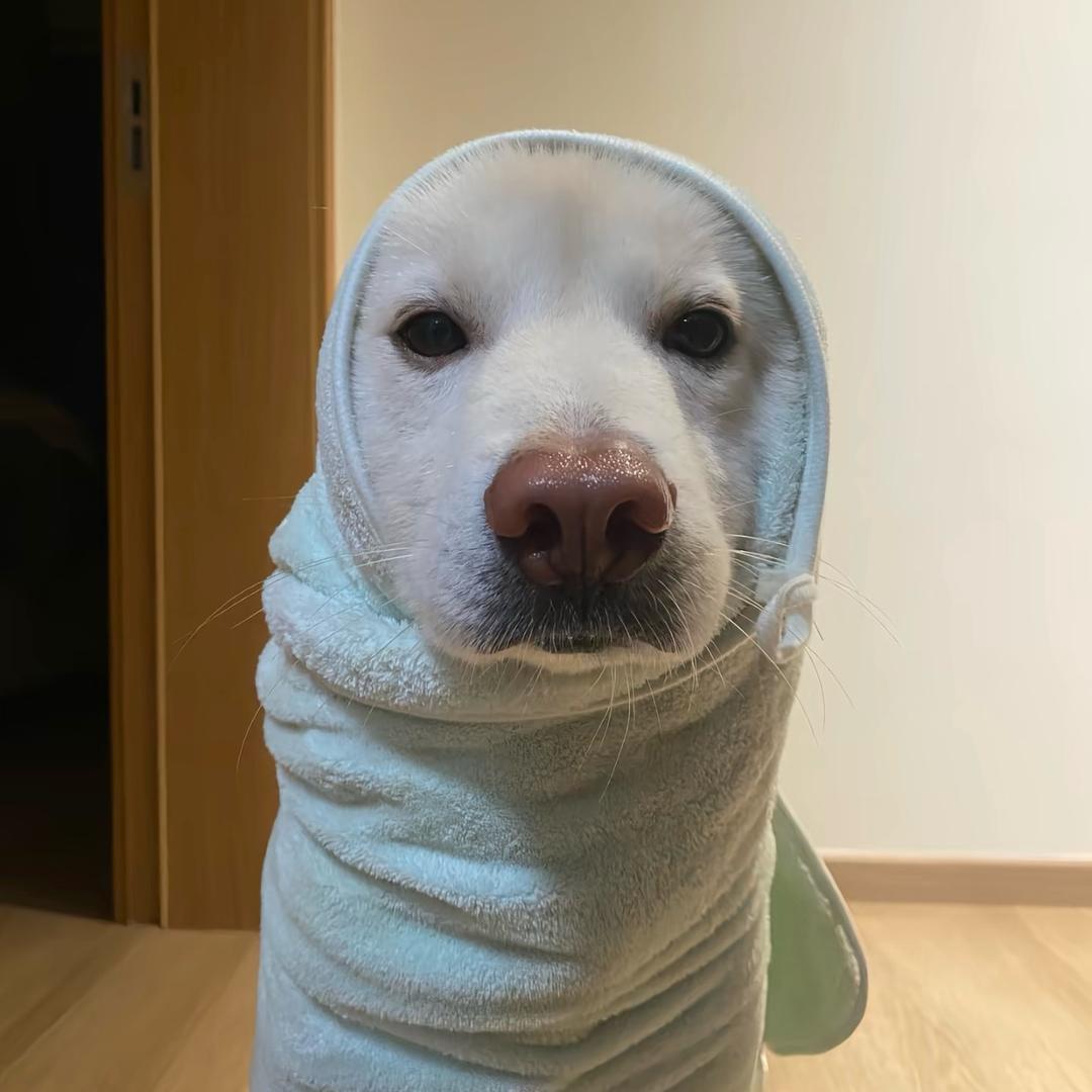 忧郁总裁兜不住屎被护工吊打