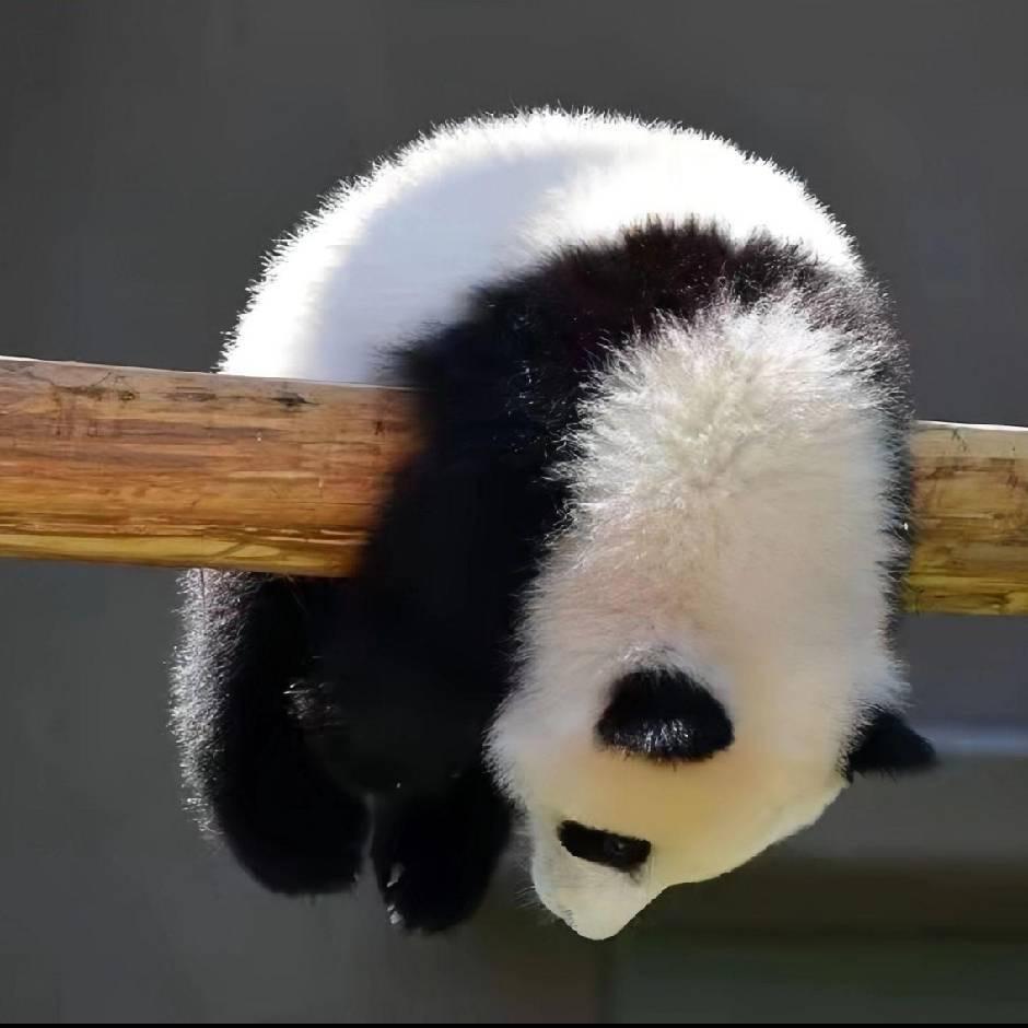 禾哥
