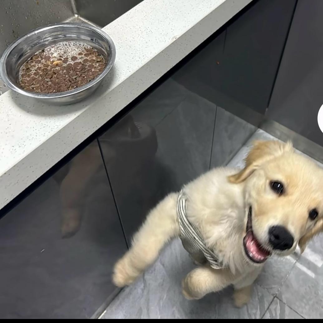 不敢骑电摩