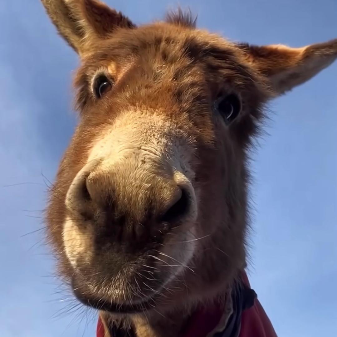 老詹的艺考日记