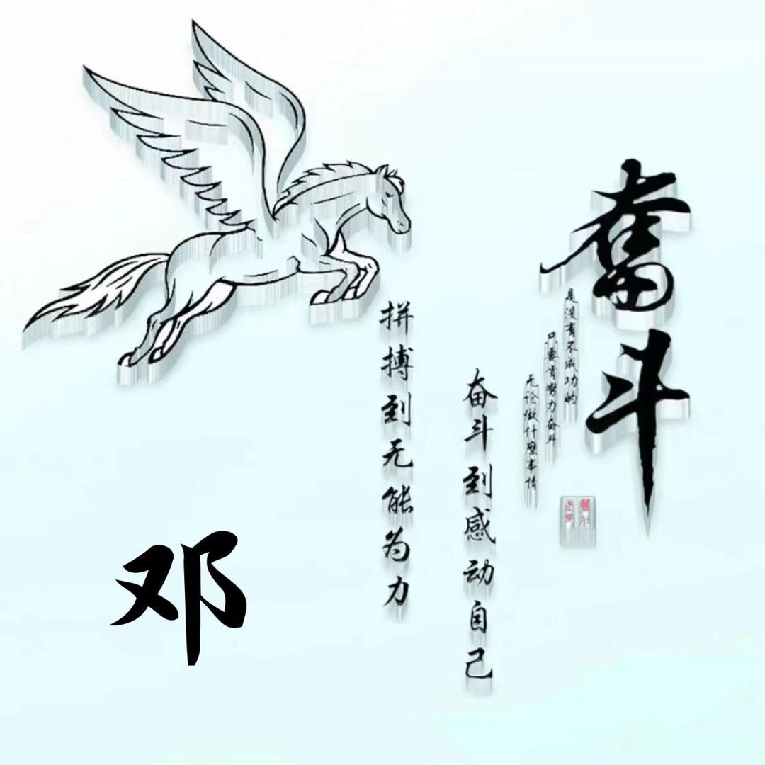 双鸿
