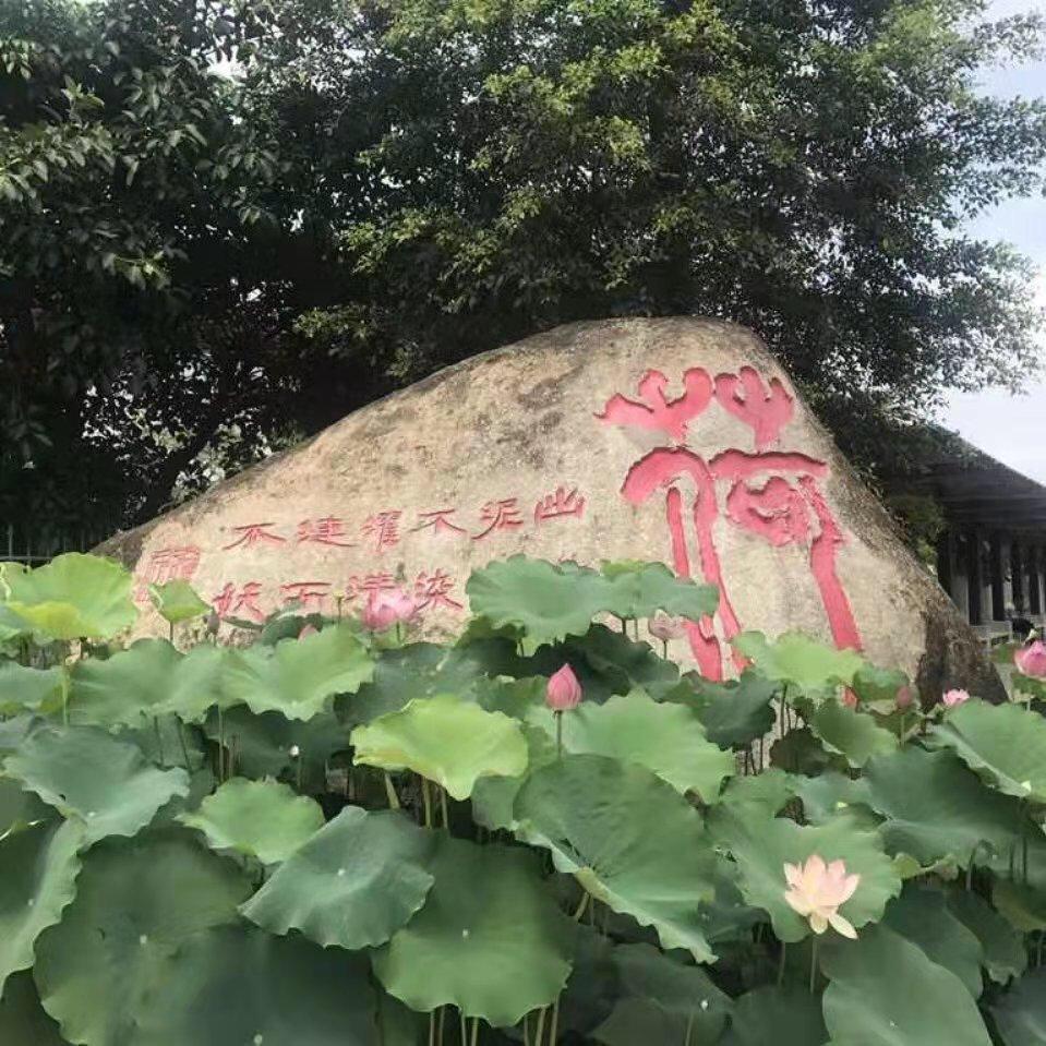 贵港市荷城初级中学