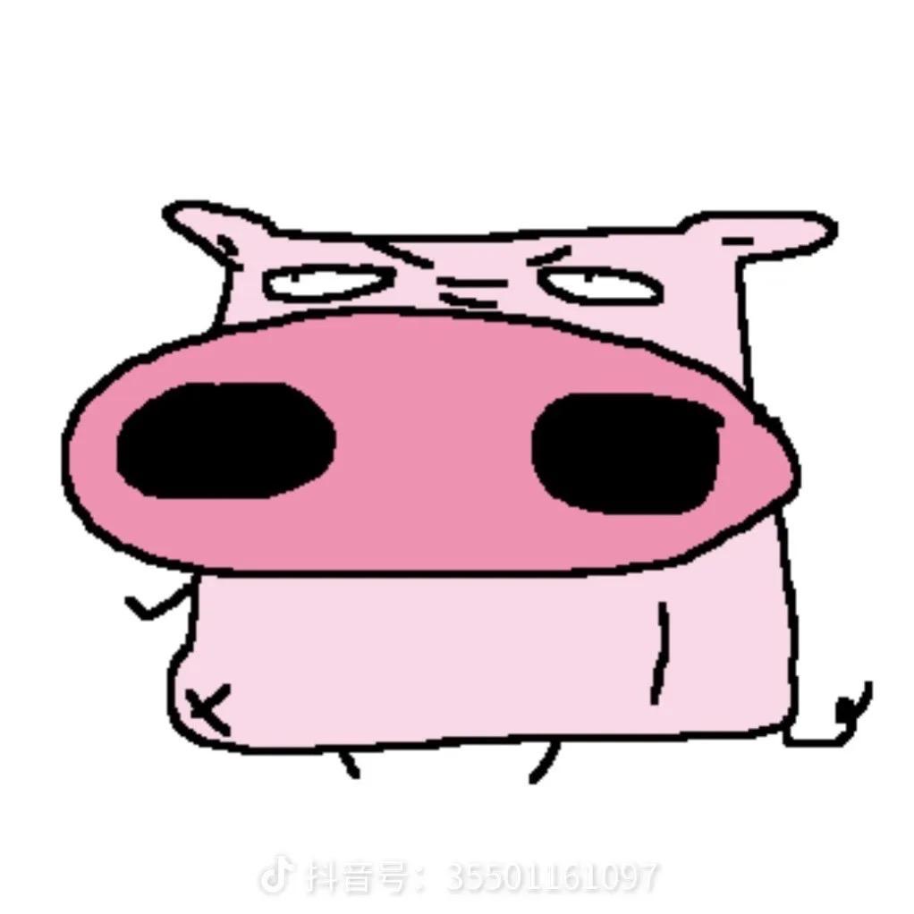 早点睡吧你