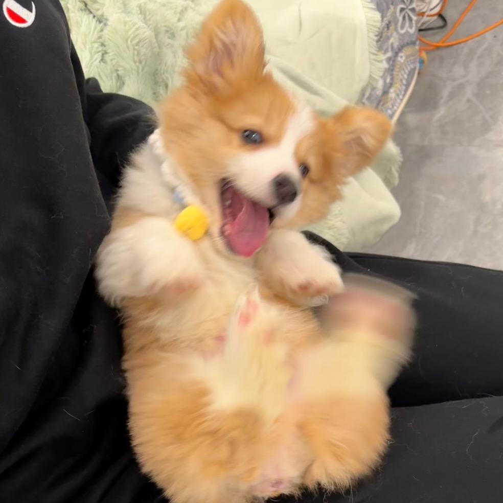 小肛是只基🧡