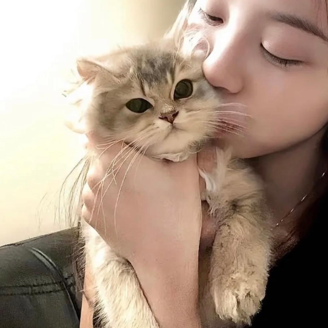 小鱼🫧