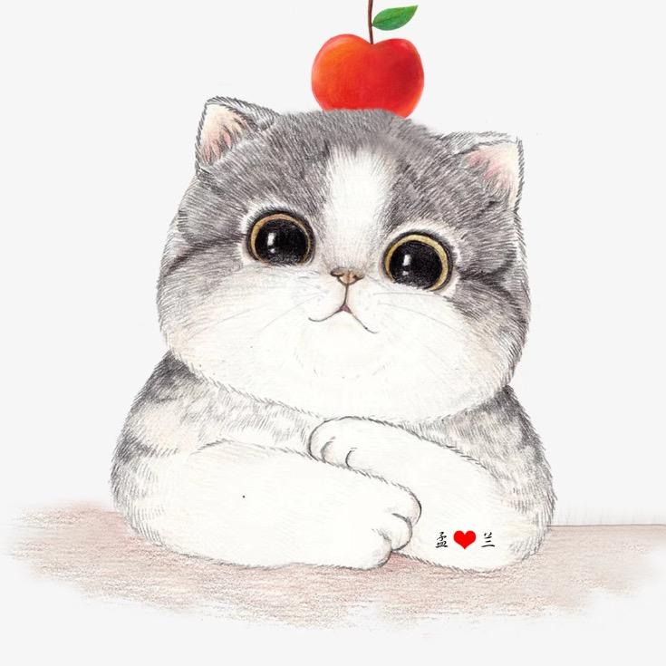 小七茄子