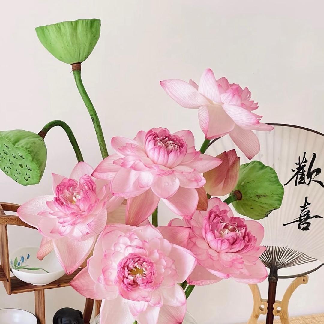 茶不多