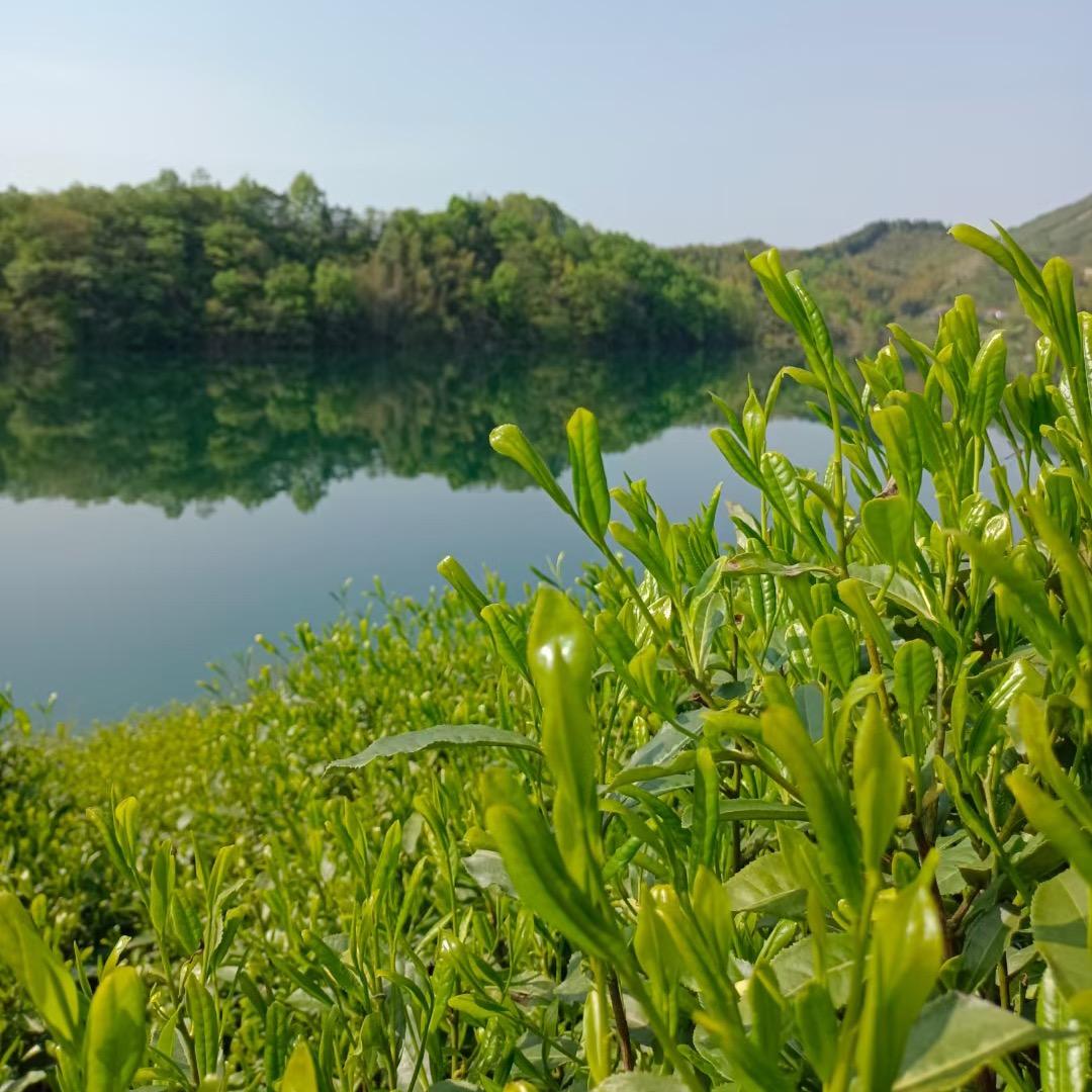 向💰💰～看齐