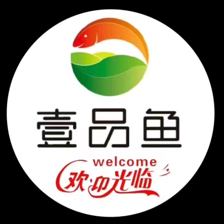 武都区壹品鱼餐饮服务店