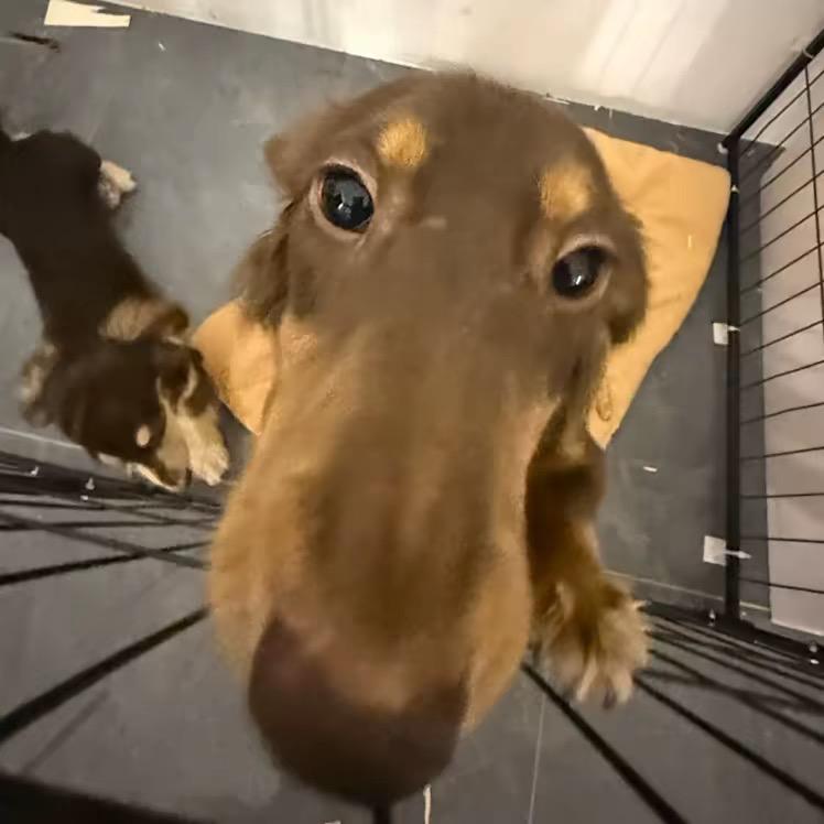 ㅤㅤㅤㅤㅤㅤㅤㅤㅤㅤㅤㅤㅤㅤ情话