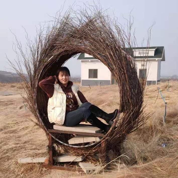 燕子航拍