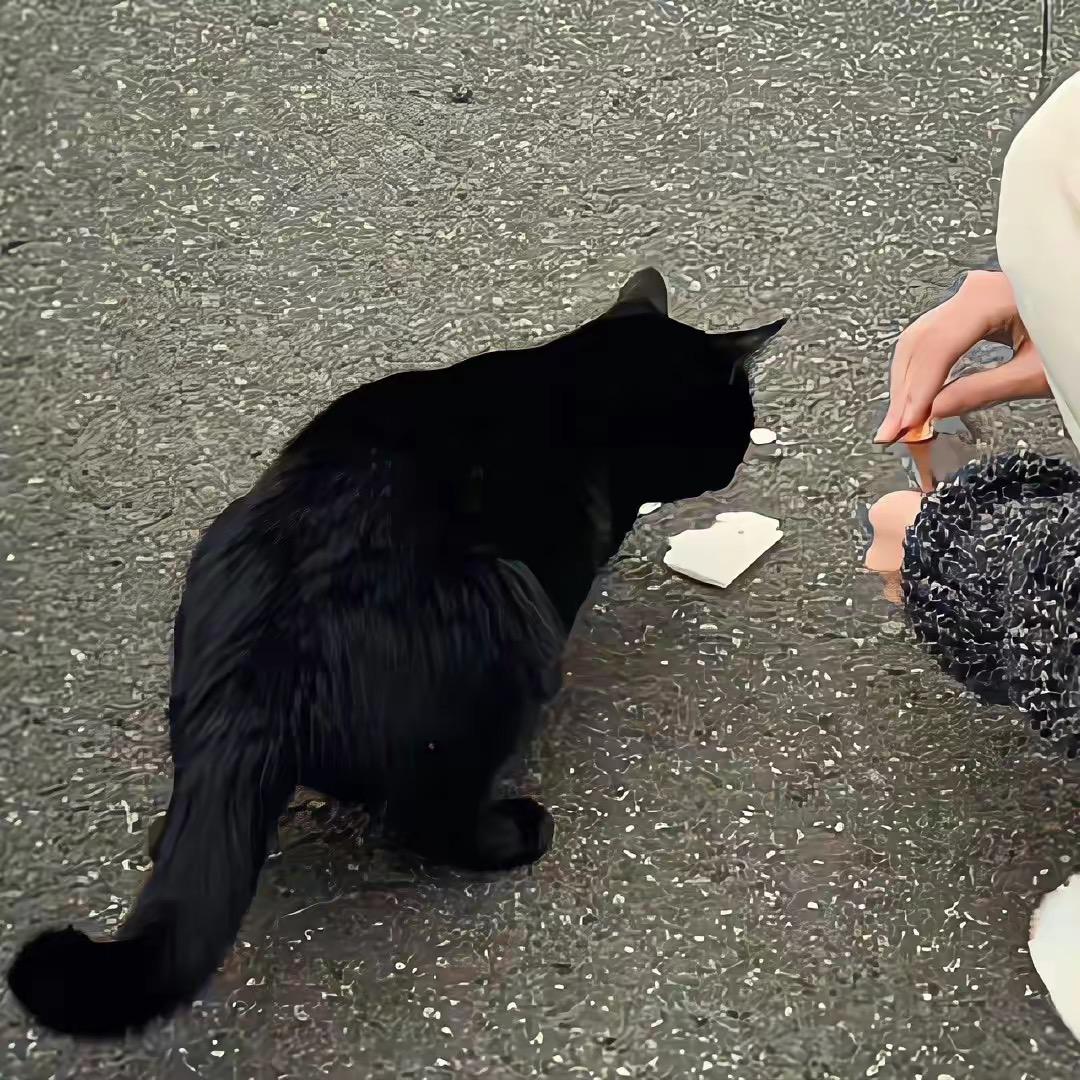 蛇小宝