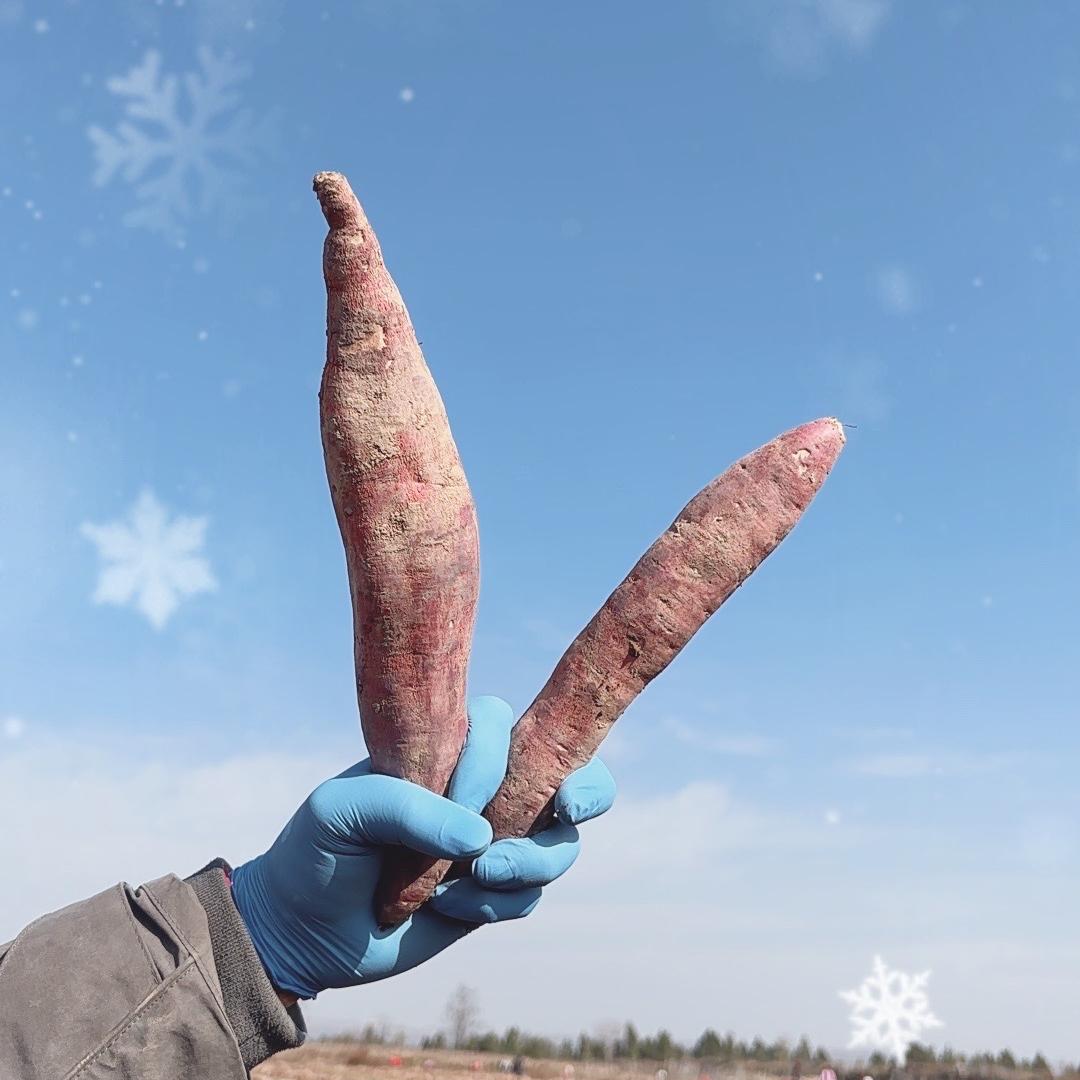 永寿润泽农业企业店