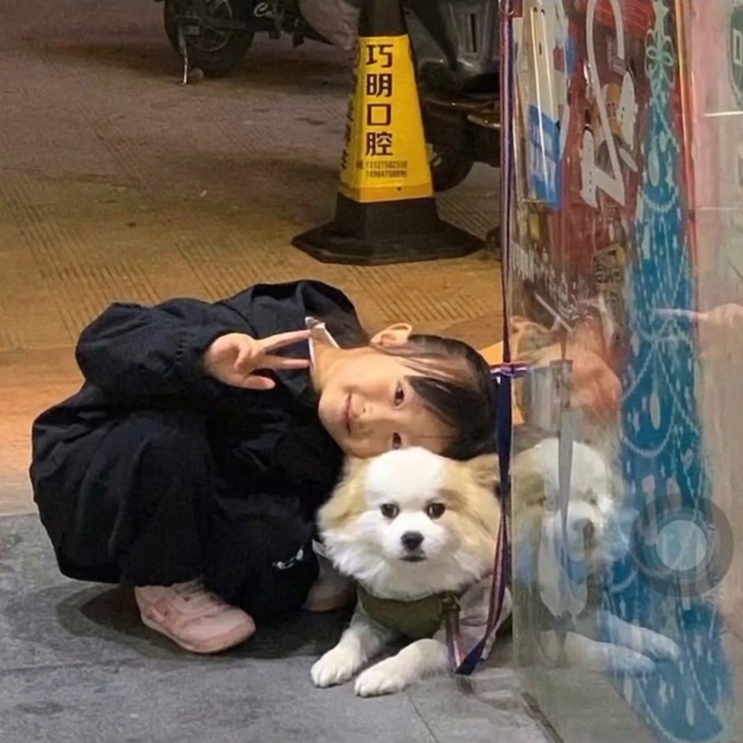 帆不烦