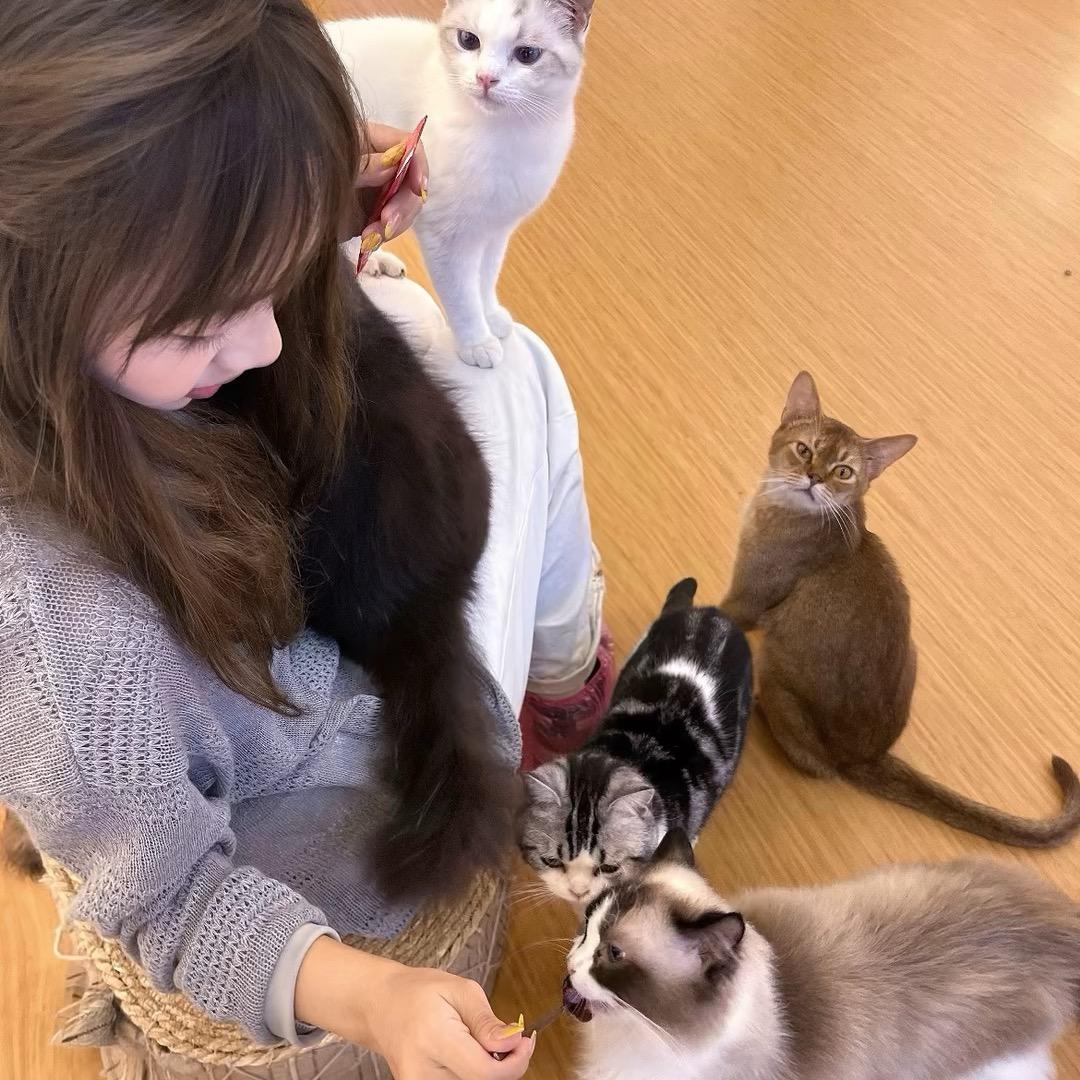 高长恭
