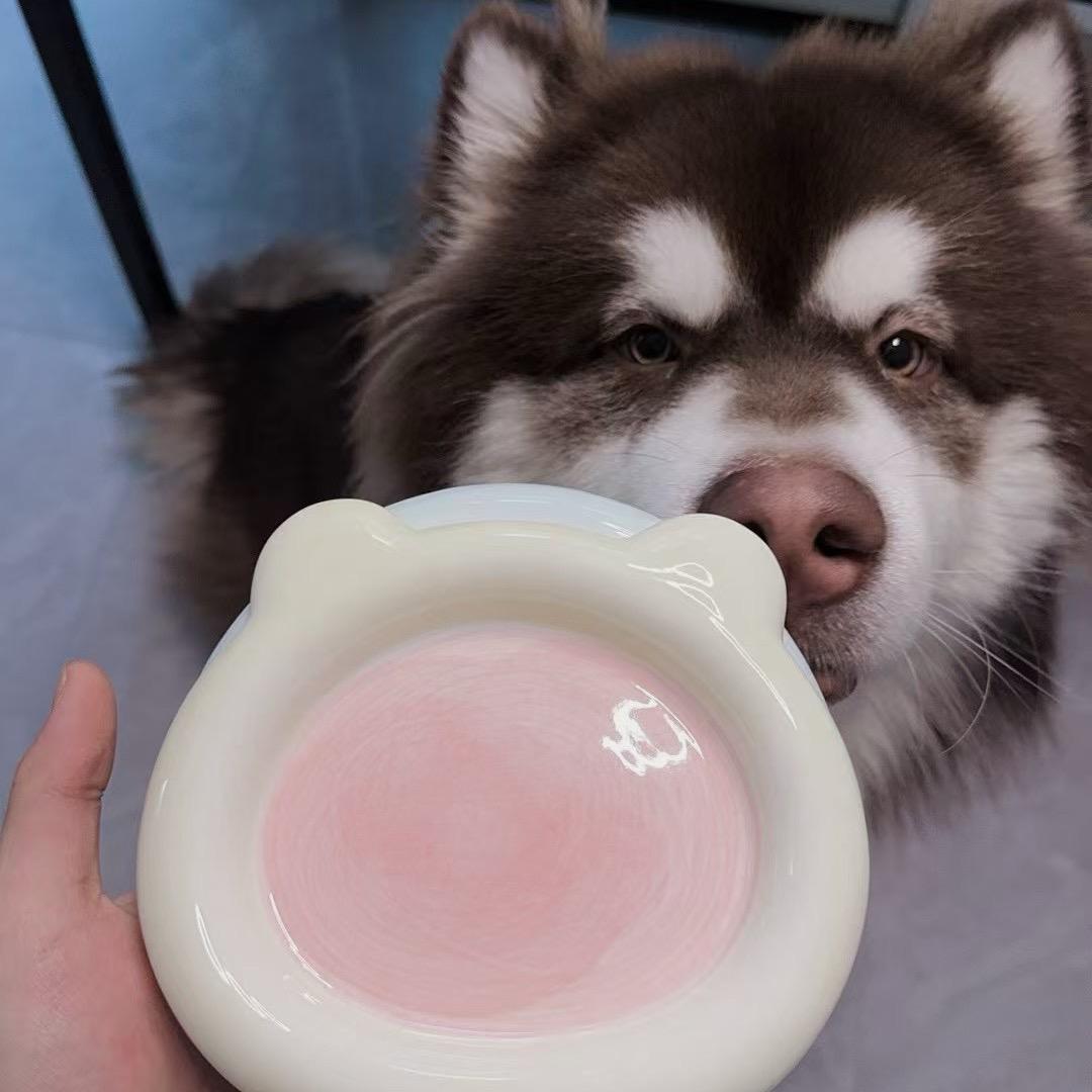 大雄爱吃肉肉💨