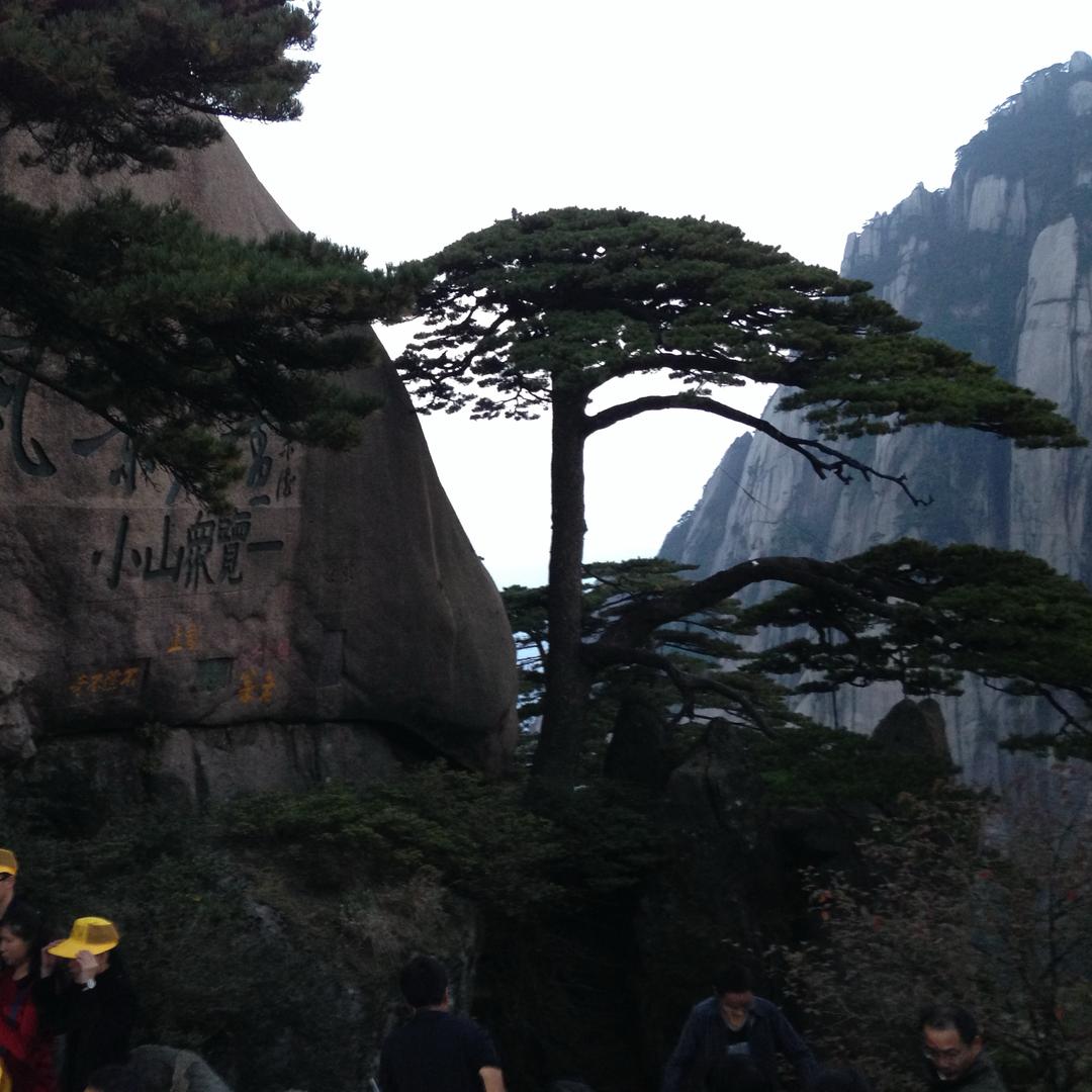 《一生所爱》