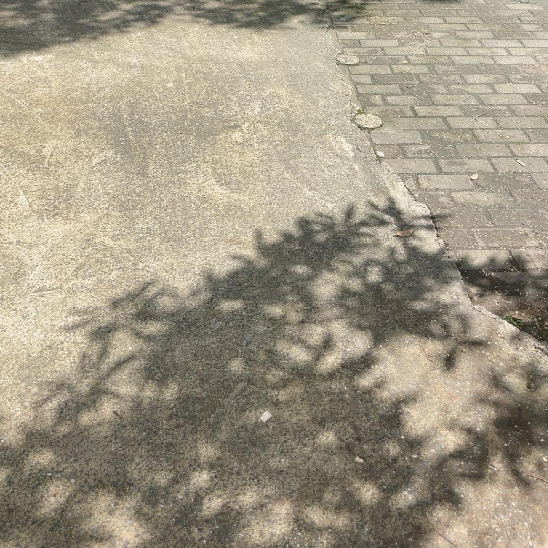 小鱼儿在云边