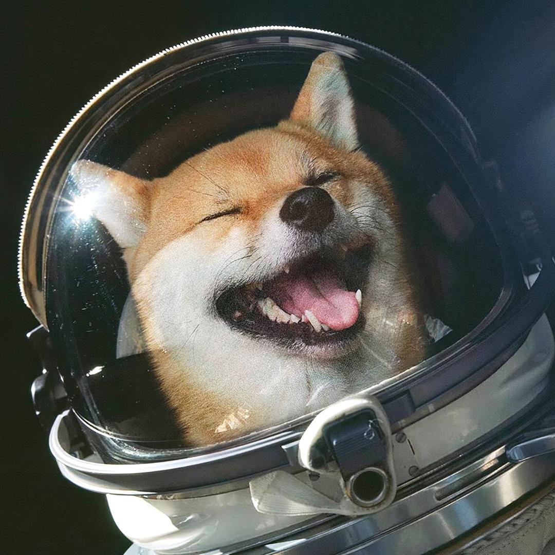 是的