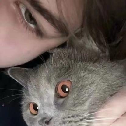 爱上星星⭐的鲸鱼🐳（减肥中）