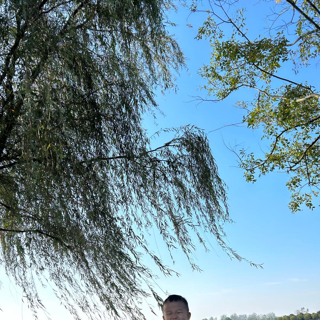 飘哥的故事
