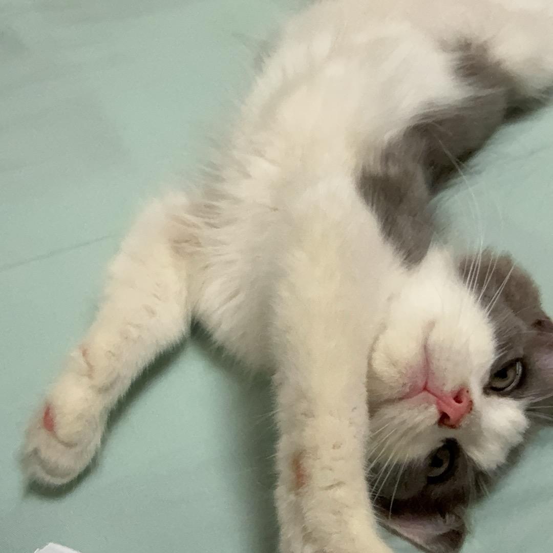 澄澄很爱吃