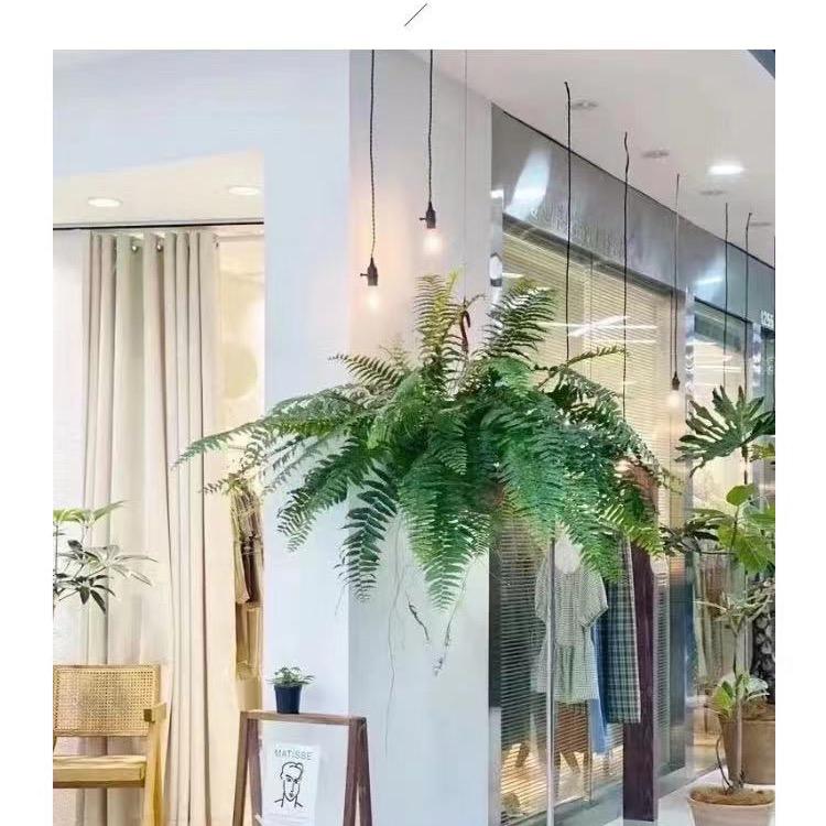 羽暮园艺电子商务经营部个体店