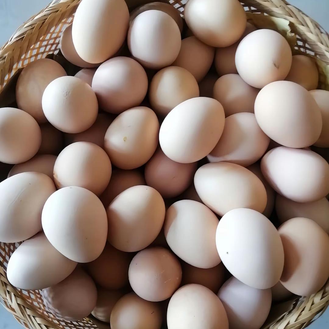 湖北兴隆土鸡养殖场