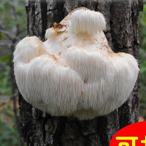 古田县农品汇百货商行