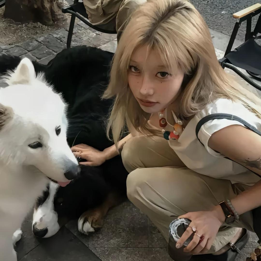 哒咩兔🐰
