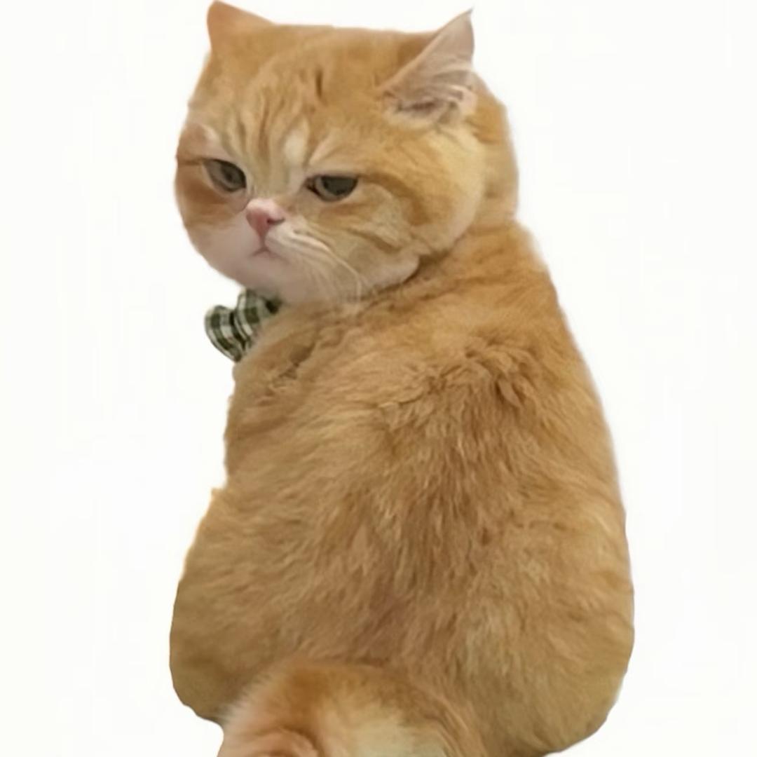 用户5692