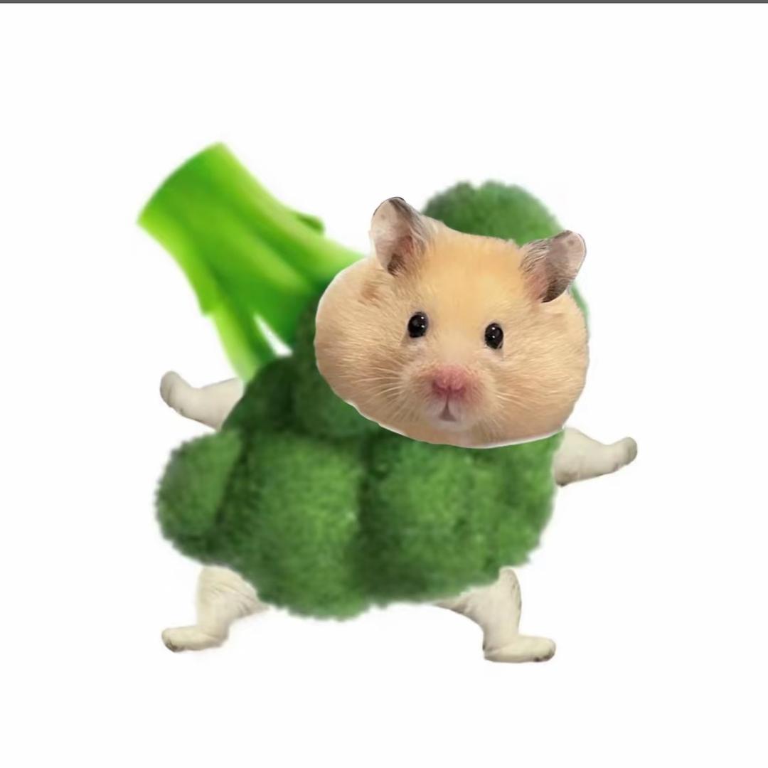 西兰花🥦