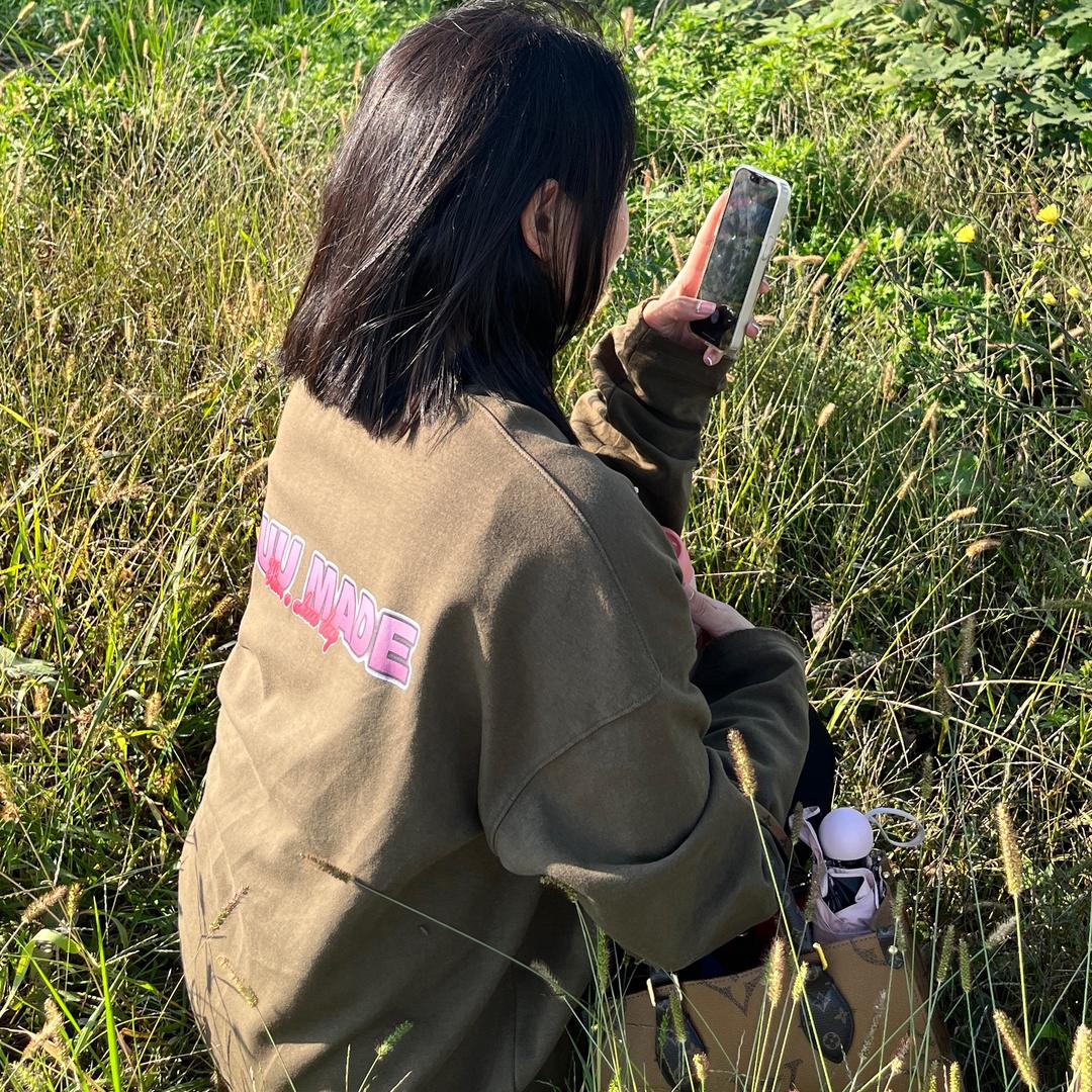 吴太妃