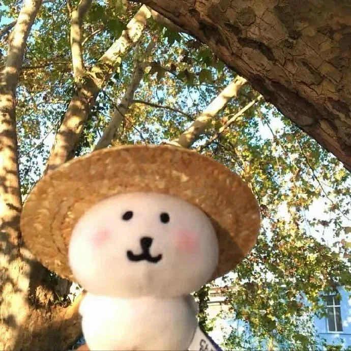 悲伤破忒头