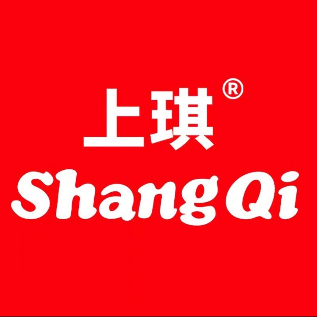 上琪电器音响店